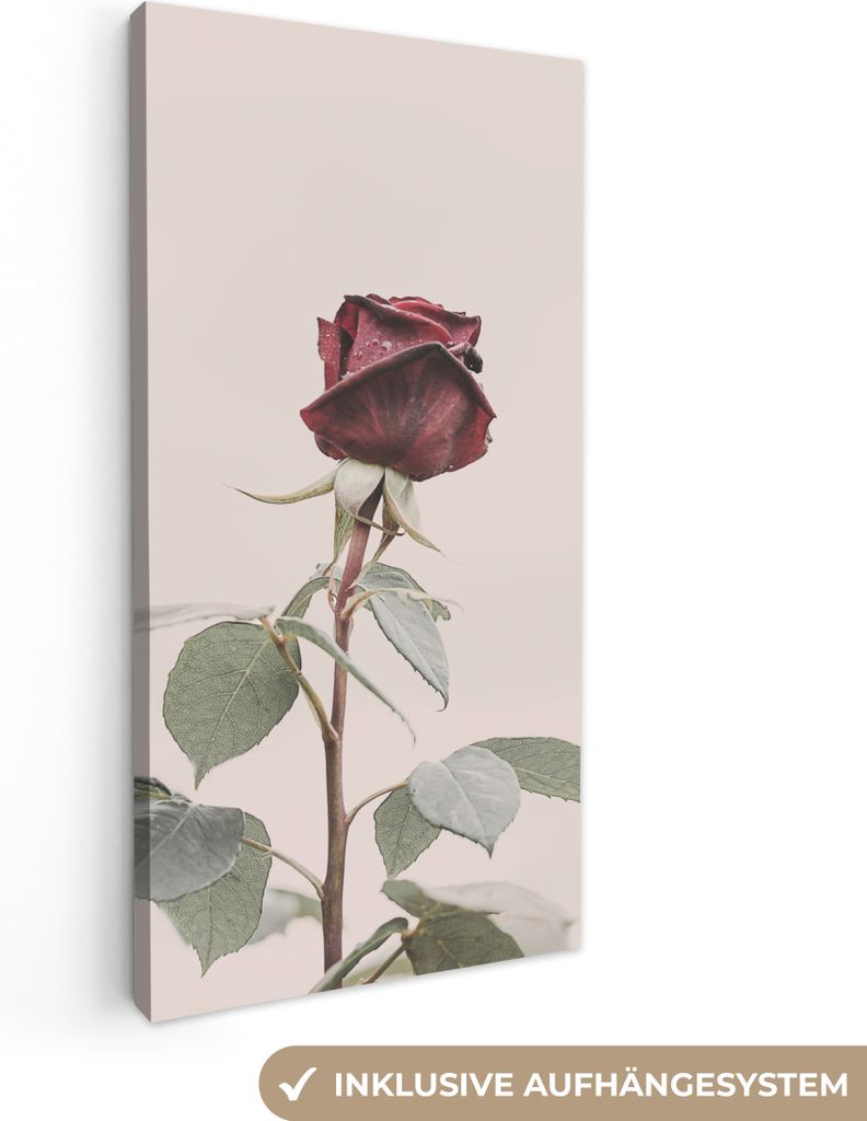 MuchoWow - Leinwandbilder - Blumen - Rot - Rosen - Grün, Wandbild, Wanddeko Bilder Wohnzimmer, 20x40 cm