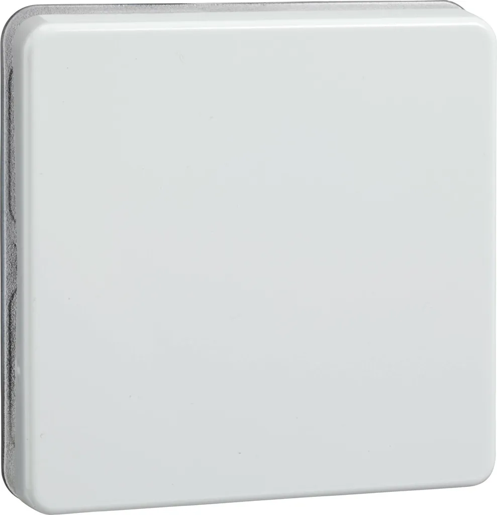 Plaque de finition 233604 blanche robuste pour bouton électrique