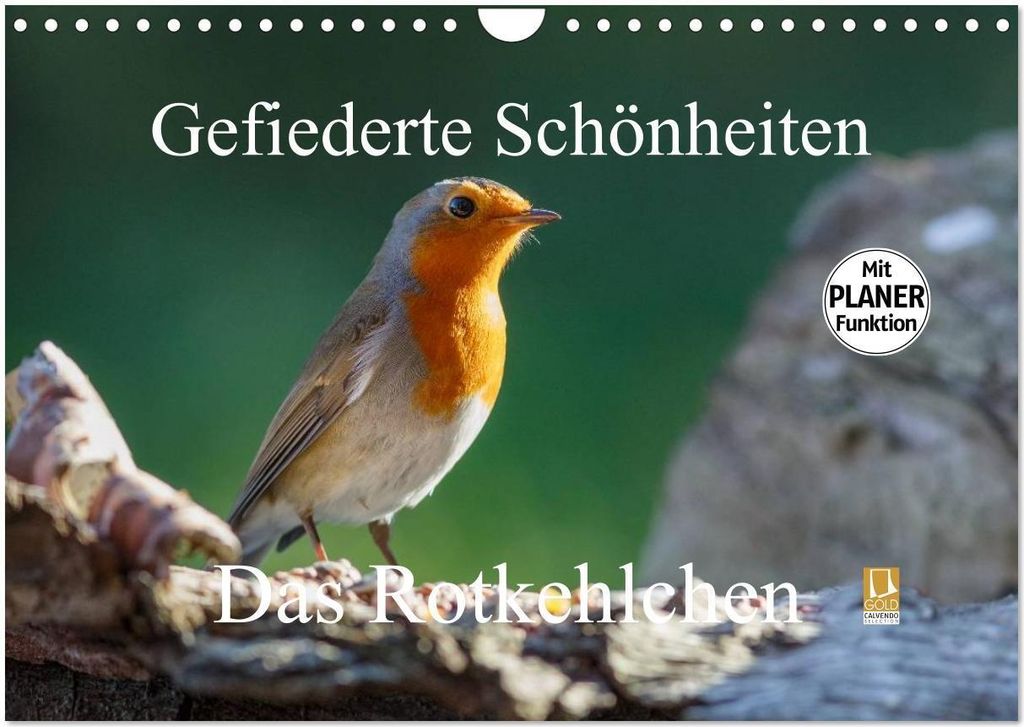 Gefiederte Schönheiten - Das Rotkehlchen / Planer (Wandkalender 2026 DIN A4 quer), CALVENDO Monatskalender