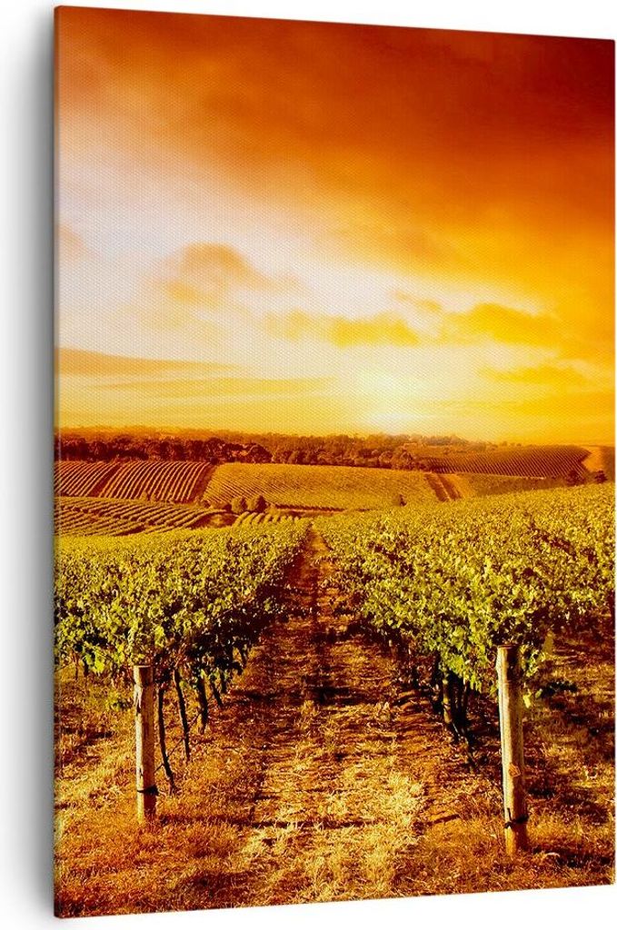 Bild auf Leinwand - Leinwandbild - Einteilig - Weinberg Aussicht Landschaft - 70x100cm - Wand Bild - Wanddeko - Wandbilder - Leinwanddruck - Wandde...