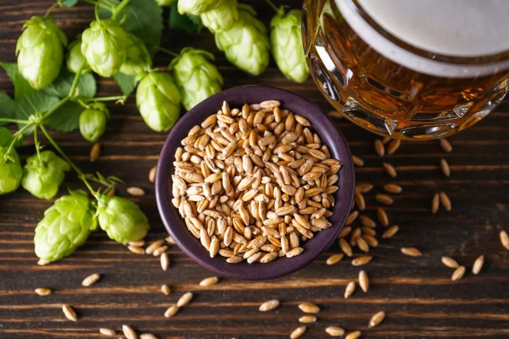 Kit Ricarica Birra APA 5 Litri | Malto Luppolato Pronto all'Uso - 3