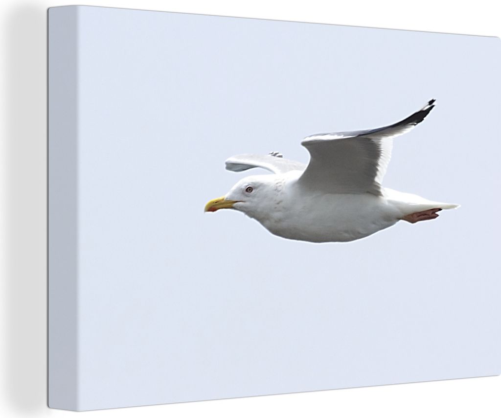OneMillionCanvasses - Leinwandbilder - 140x90 cm, Möwe - Flügel - Vogel, Wandbilder Kunstdruck Wanddekoration - Foto auf Leinwand - Gemälde au...