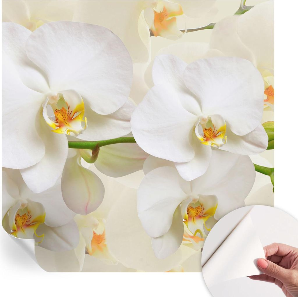 Selbstklebende Wandtapete - Dekorative Tapete für Wohnzimmer - Klebefolie für Wandbilder - Tapetenfolie für Wanddekoration - 250x250 cm - Blüte...