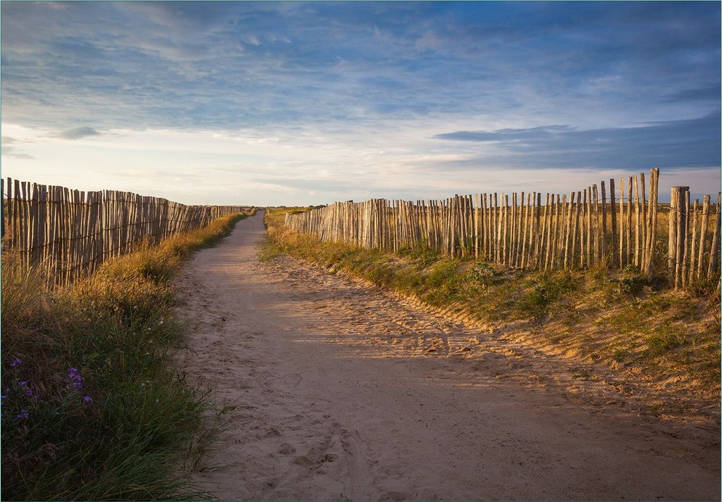 Wallario Fototapete Vliestapete, seidenmatte Oberfläche, einfache Verarbeitung, Größe 200 x 140 cm, Motiv Sandweg an einem Strand in Frankreich,...