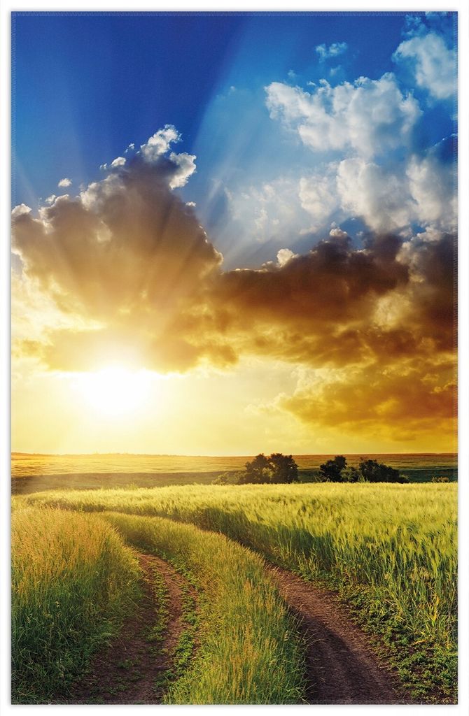 Wallario Premium Teppich, Größe 90 x 140 cm, Feldweg in den Sonnenuntergang