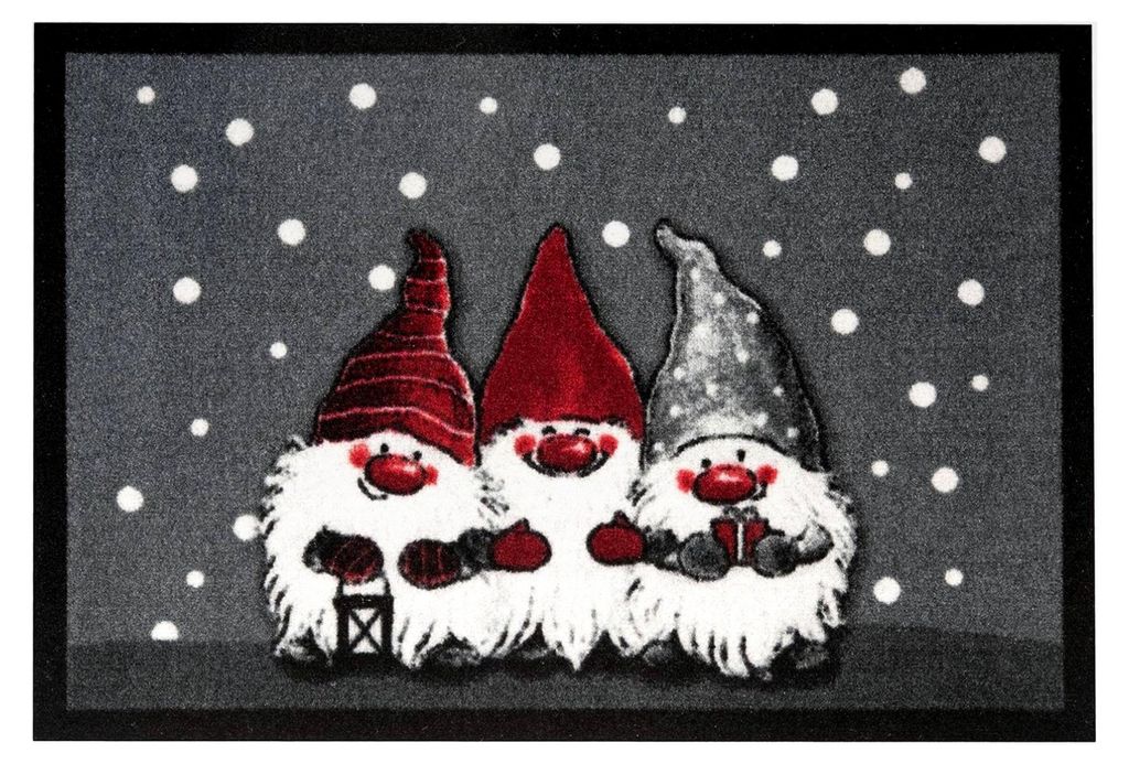 Fußmatte für Innen und Außen 40x60cm - Schmutzfangmatte mit Zwergen-Motiv, waschbar und wetterfest, rutschfest für Eingangsbereich und Außenbe...