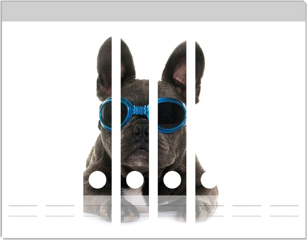 Wallario Ordnerrücken Sticker, selbstklebend für schmale Ordner, 8 Stück, Motiv Cooler Hund mit Sonnenbrille in blau - Französische Bulldogge