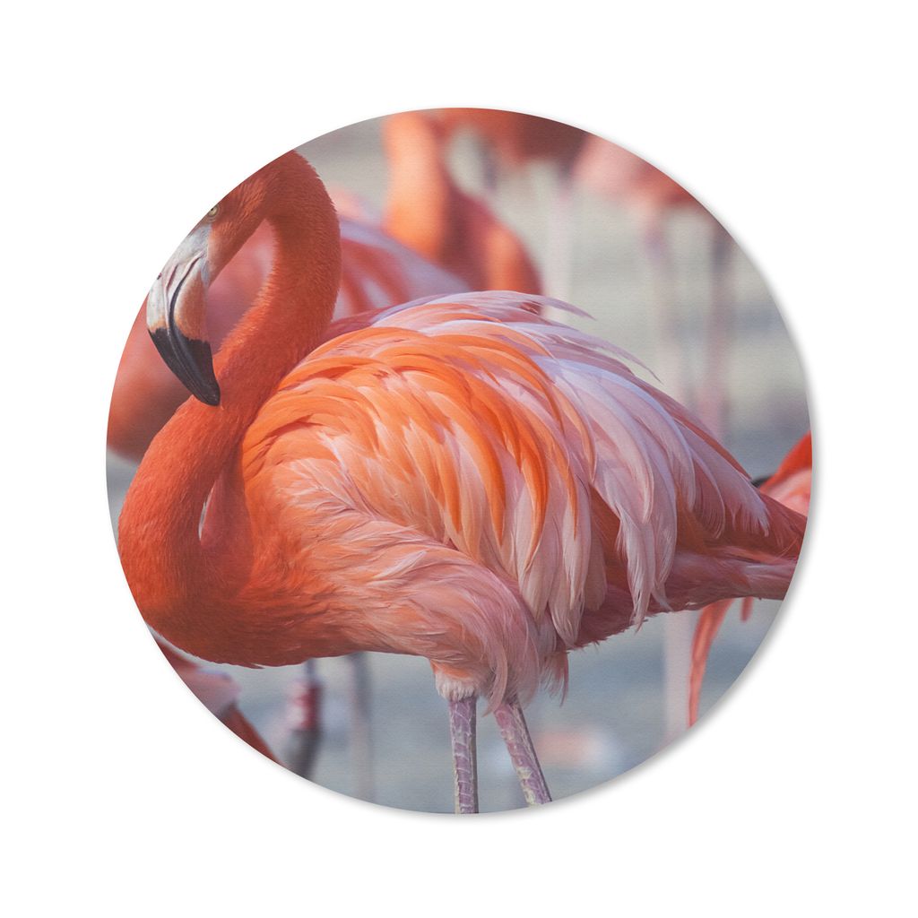 MuchoWow Mauspad Mousepad Flamingo - Vogel - Tiere - Rosa 30x30 cm - Mousepads - Maus Mat - Pad - Mausunterlage - Tischunterlage - Schreibtischma...