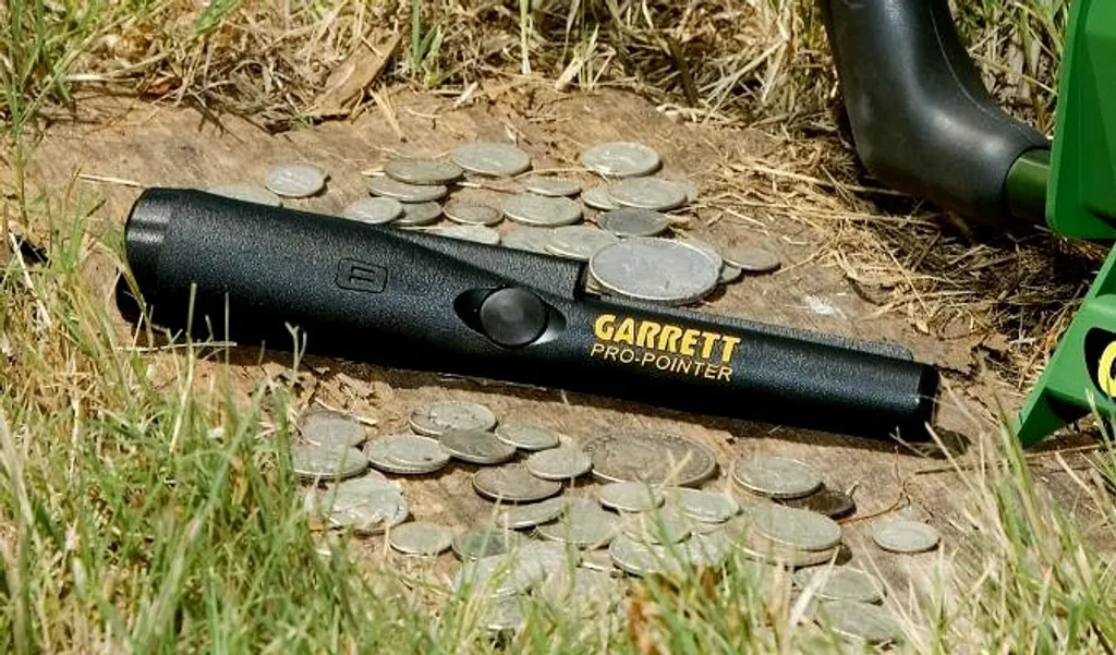 Détecteur Pro-Pointer II Garrett pour prospection sur plage et forêt