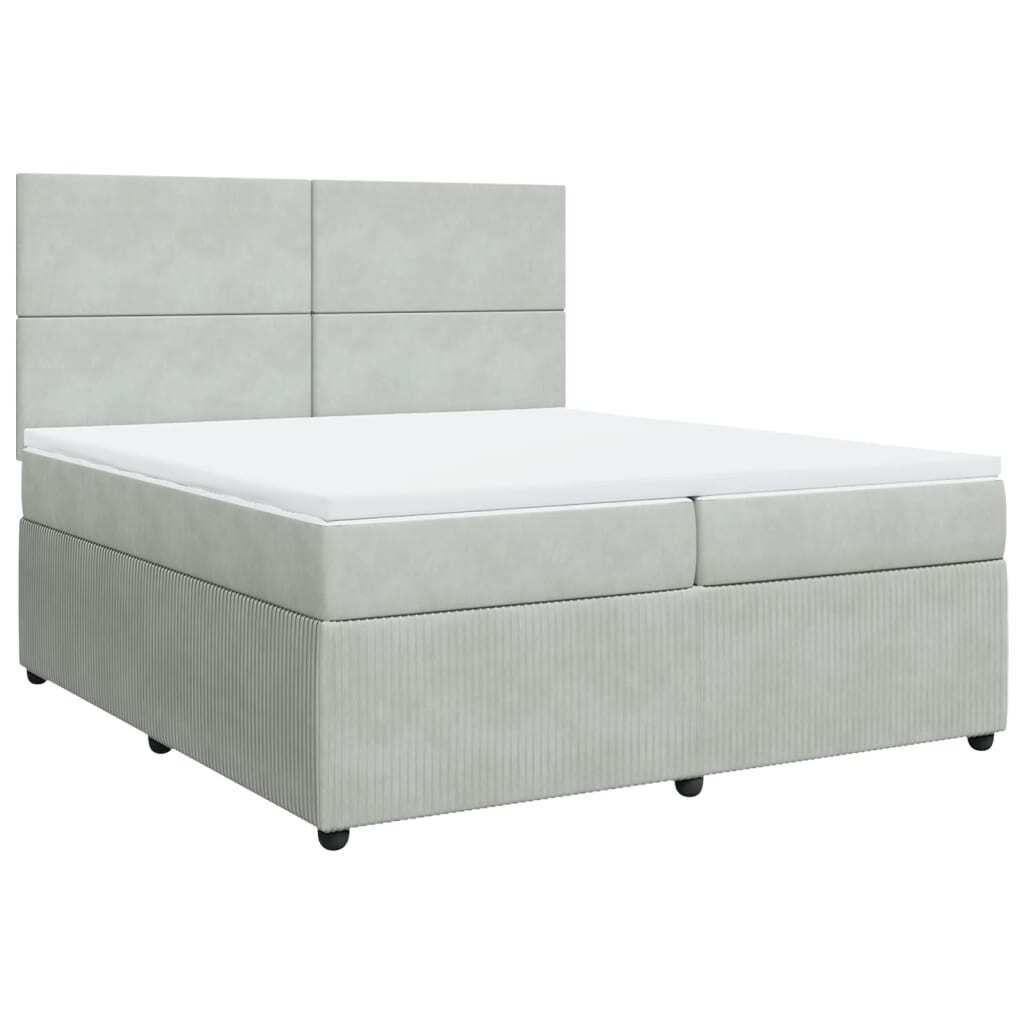 (Robust Möbel)Boxspringbett Modernes/Doppelbett - Polsterbett Erwachsene/r /Kind - mit Matratze Hellgrau 200x200cm Samt - Klassische Betten DE...