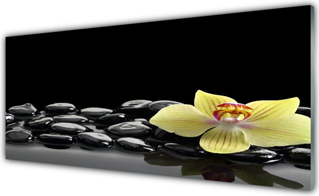 Acrylglasbilder 125x50 Wandbild Druck Blume Steine Küche
