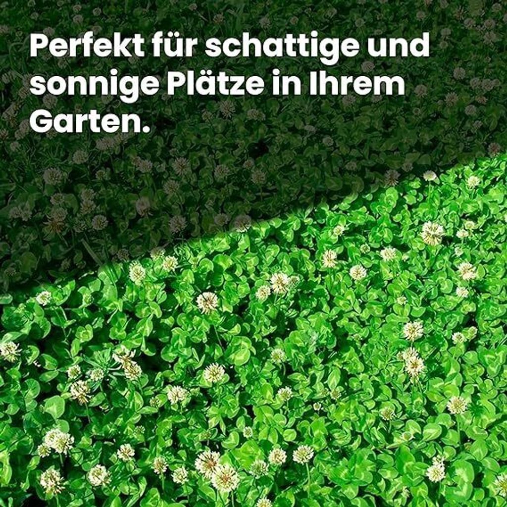 LERAVA® Klee samen [mähfrei] 125m² - Mikroklee Samen für Produktbild 3