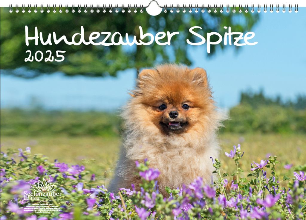 Hundezauber Spitze DIN A3 Kalender für 2025 Welpen und Hunde - Seelenzauber