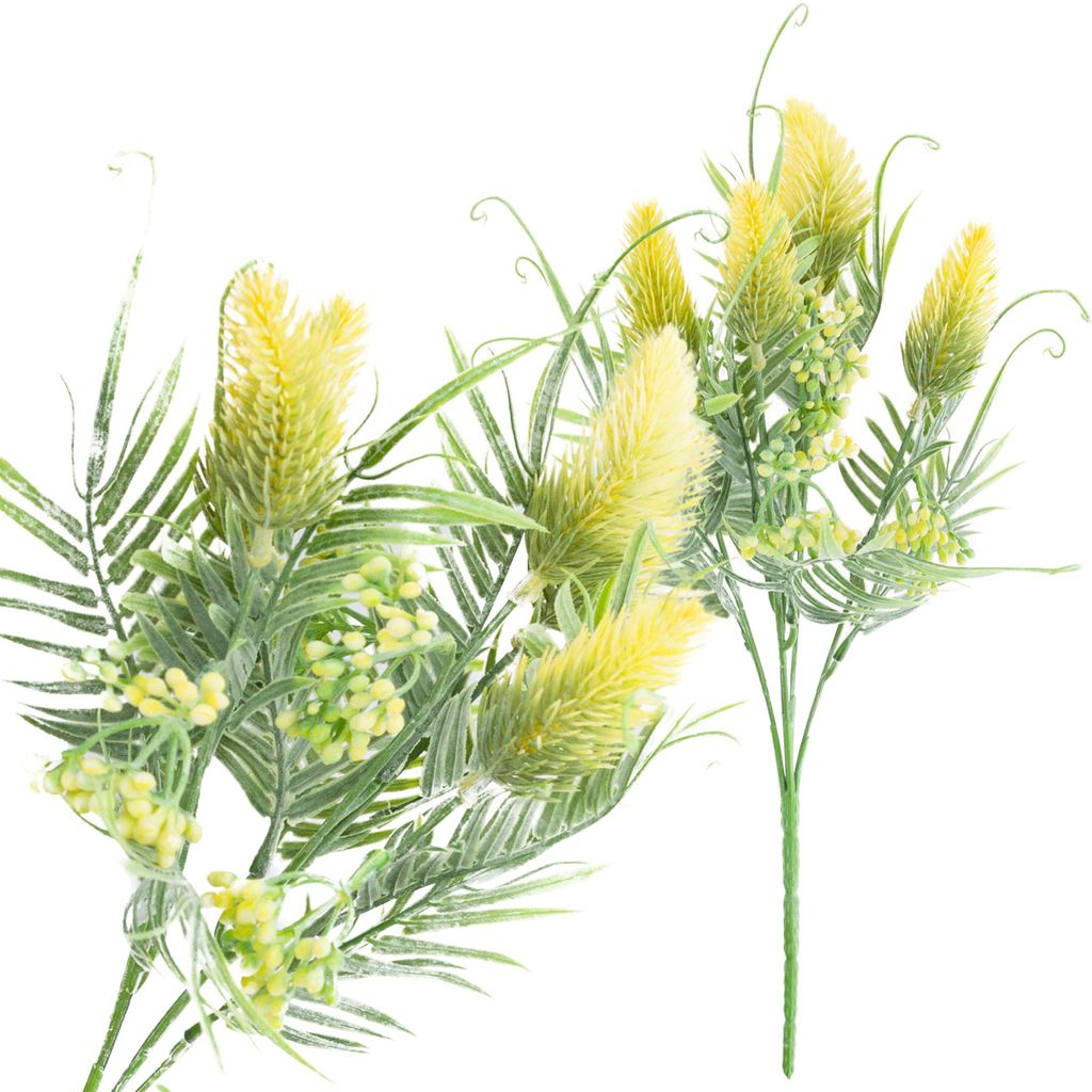 Bunch Grasblätter Oset Blumen X 5 Gelb