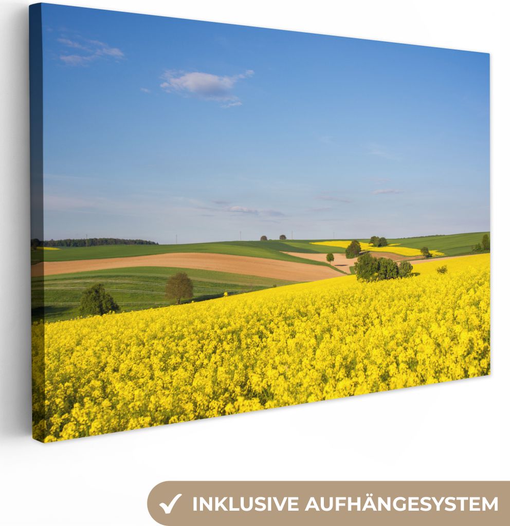 OneMillionCanvasses - Leinwandbilder - 150x100 cm, Frühling - Blumen - Gelb, Wandbilder Kunstdruck Wanddekoration