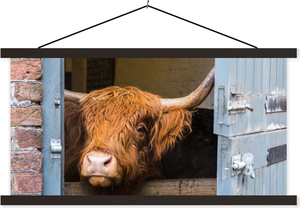 MuchoWow Textilposter Schottisches Hochlandrind - Bauernhaus - Scheune 60x30 cm mit schwarzem Rahmen - Textilien