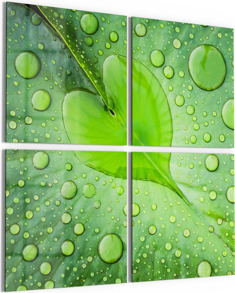 DEQORI Glasbild Echtglas 4x50x50 cm 'Grüne Juwelen' Wandbilder XXL groß