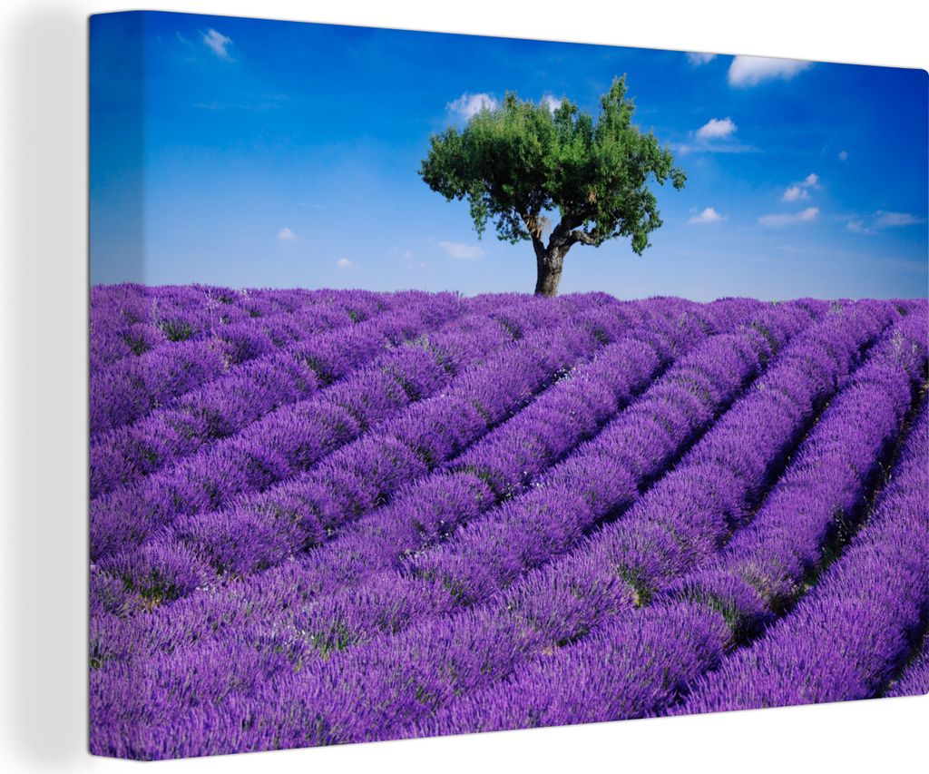 OneMillionCanvasses - Leinwandbilder - 140x90 cm, Eine Nahaufnahme eines Lavendelfeldes, Wandbilder Kunstdruck Wanddekoration - Foto auf Leinwand...