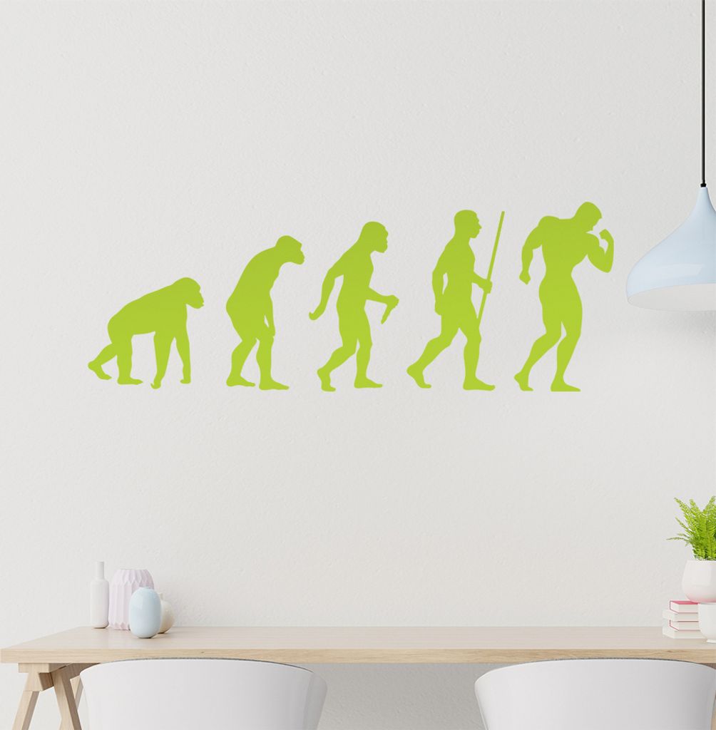 Bodybuilding Evolution Wandtattoo Wandaufkleber Wall Sticker - Dekoration, Küche, Wohnzimmer, Schlafzimmer, Badezimmer