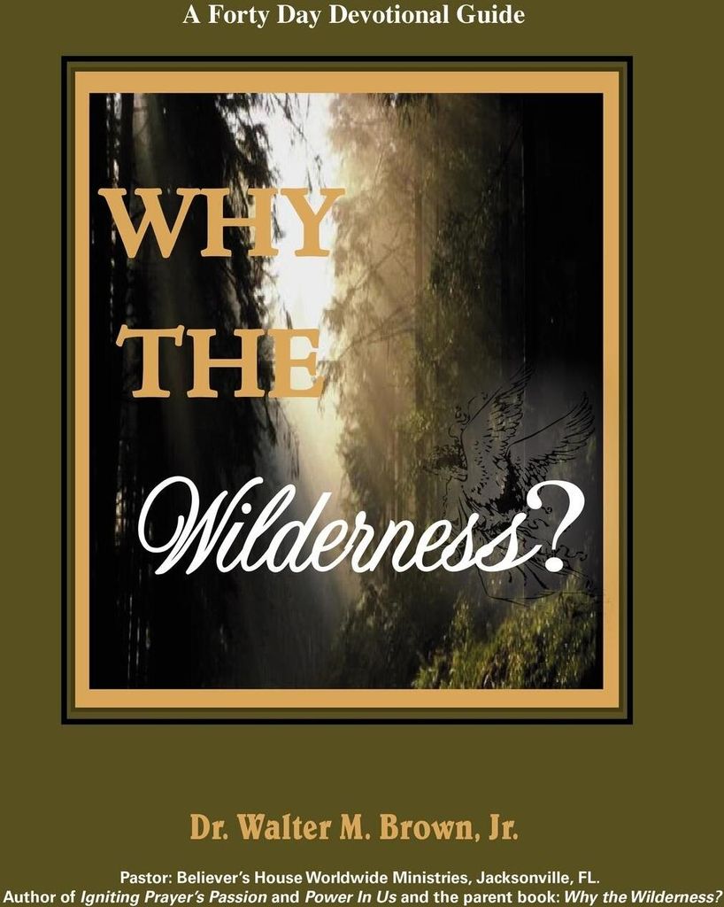 Why the Wilderness