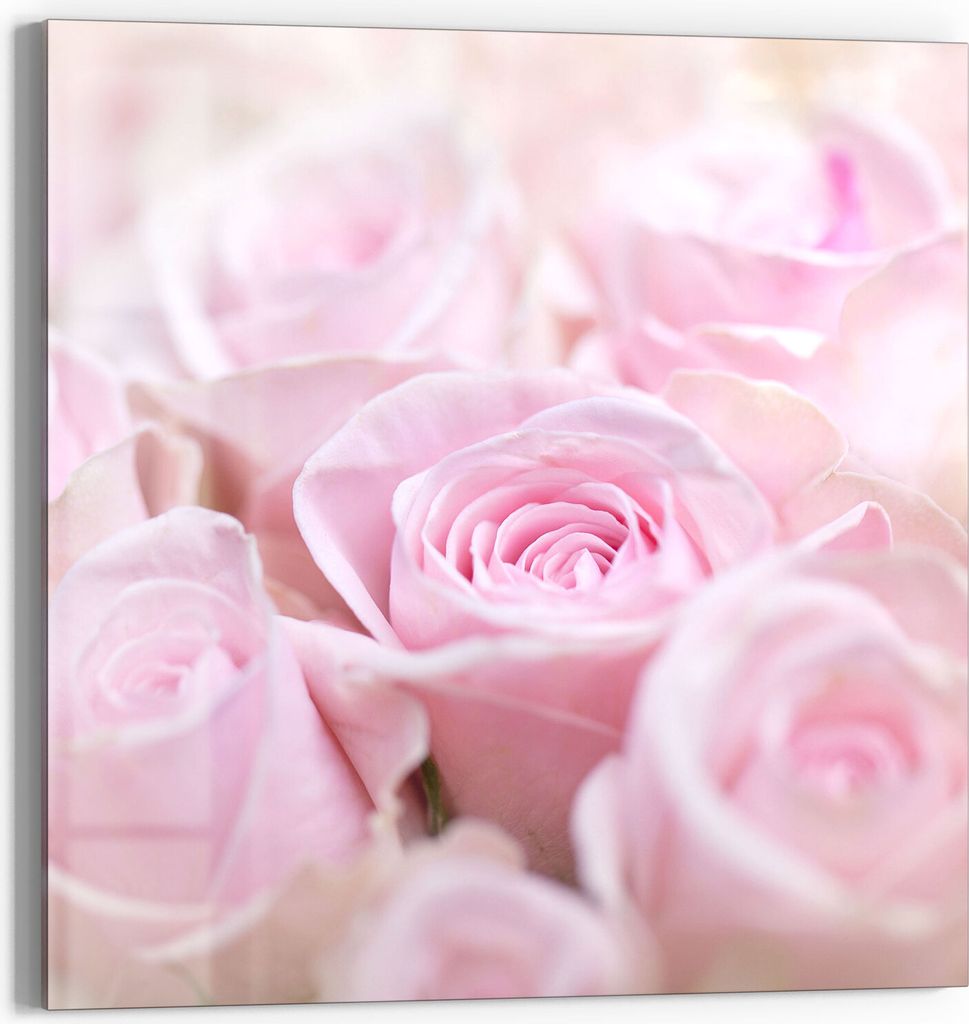 DEQORI Magnettafel Glas 50x50 cm 'Zarte Rosenblüten' beschreibbar Whiteboard