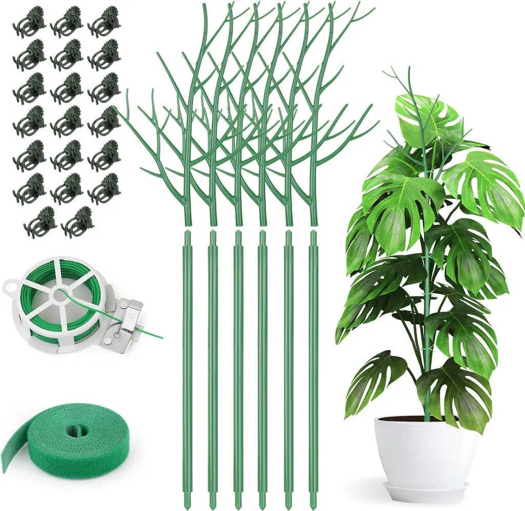 Tuteur pour plantes grimpantes 70 cm - Support amovible jardin et pot