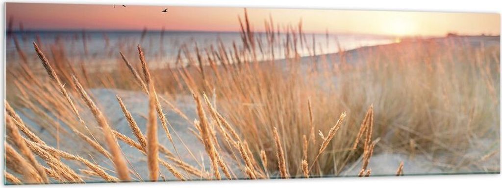 Bilder auf glas - Einteilig - Sonne Vögel Sand - 160x50cm - Glasbilder - Wandbilder - Bilder - zum Aufhängen bereit - Wanddekoration aus Glas - G...