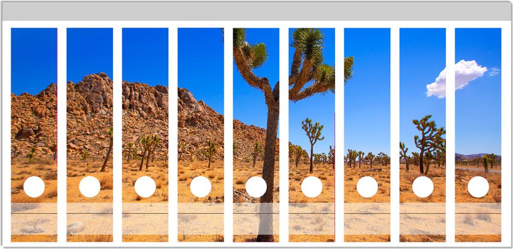 Wallario Ordnerrücken Sticker, selbstklebend für breite Ordner, 9 Stück, Motiv Palmlilie im Nationalpark Yucca Valley Wüstenlandschaft