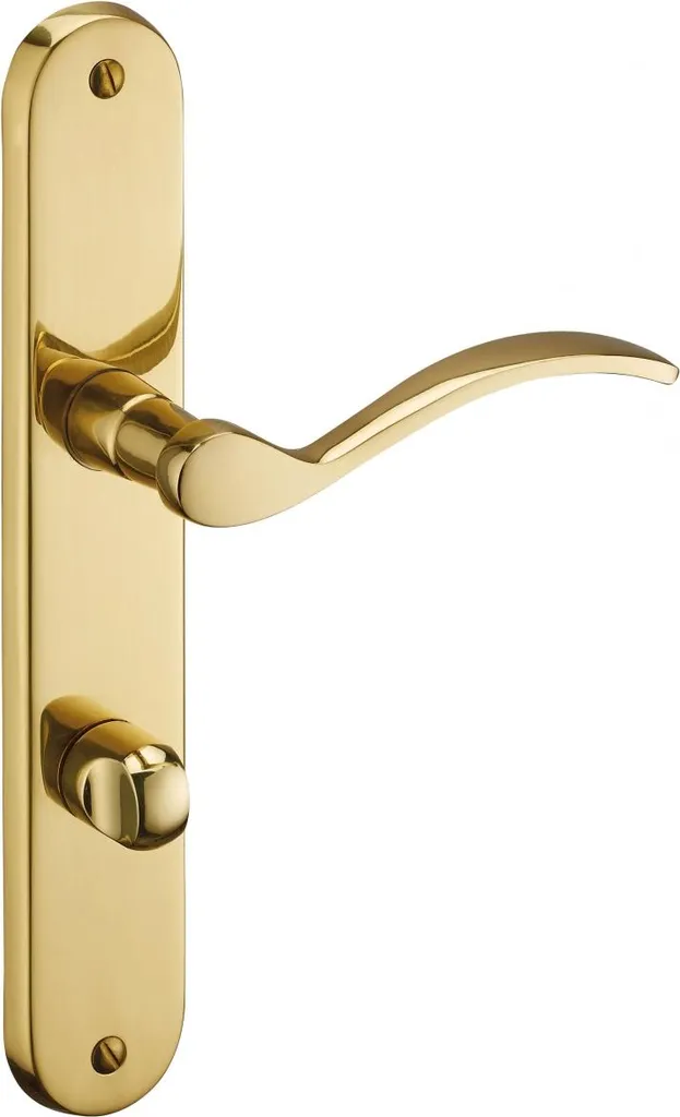 Remplacer poignée de porte WC : Modèle Marianne Thirard laiton poli 7mm