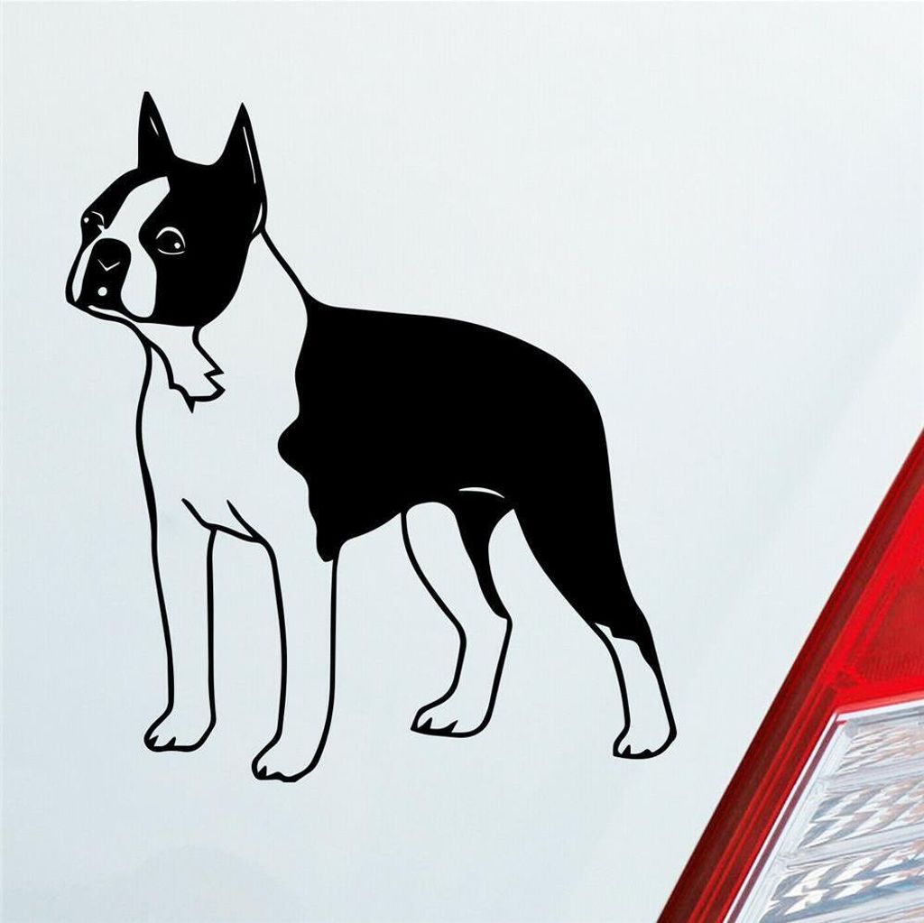 Auto Aufkleber Boston Terrier Hund Dog Animal 12x10 cm Schwarz Matt Sticker Heckscheibenaufkleber