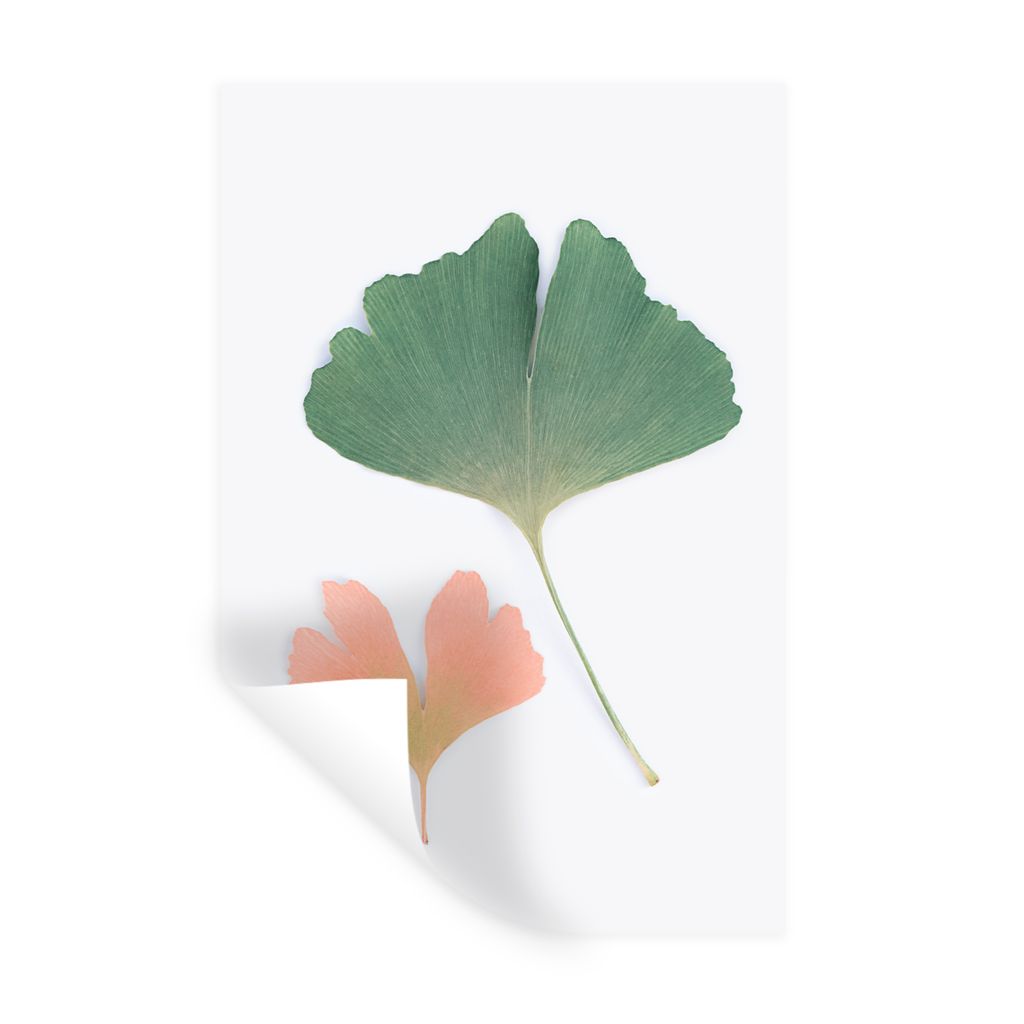 MuchoWow Wandtattoo Wandsticker Wandaufkleber Blätter - Grün - Orange - Natur 60x90 cm Selbstklebend und Repositionierbar - Sticker - Dekorfolie