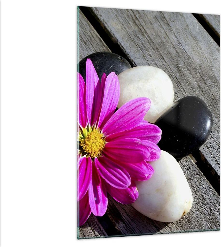 Bilder auf glas - Einteilig - Stein Blume Blütenblätter Chrysantheme - 80x120cm - Glasbilder - Wandbilder - Bilder - Wanddekoration aus Glas - Gl...