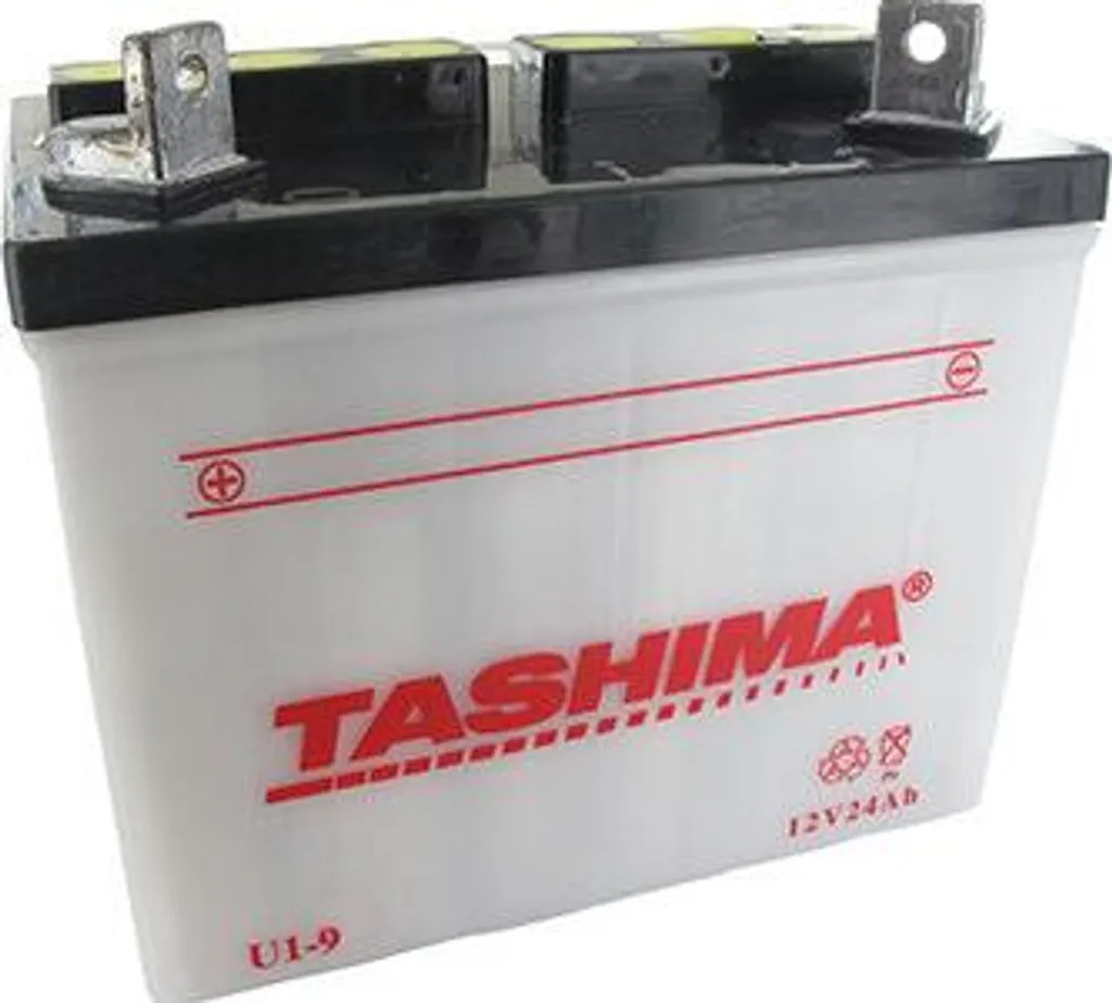 Batterie 12V 24Ah pour Réparer le Démarrage de votre Tondeuse Autoportée