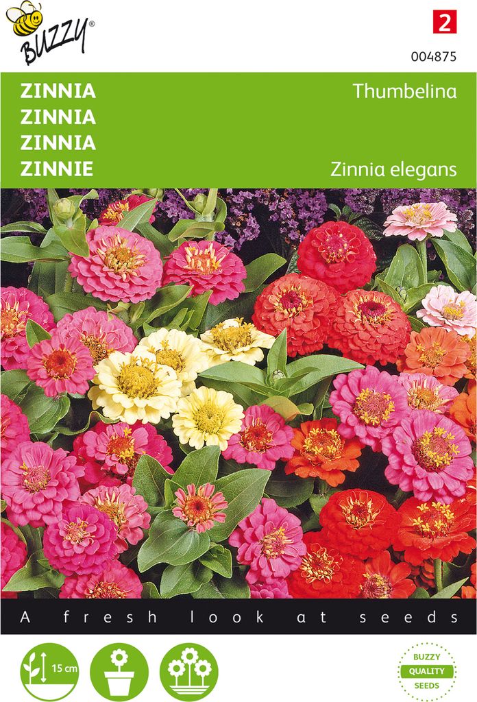 Zinnie Thumbelina Mischung | Zinniensamen von Buzzy Seeds