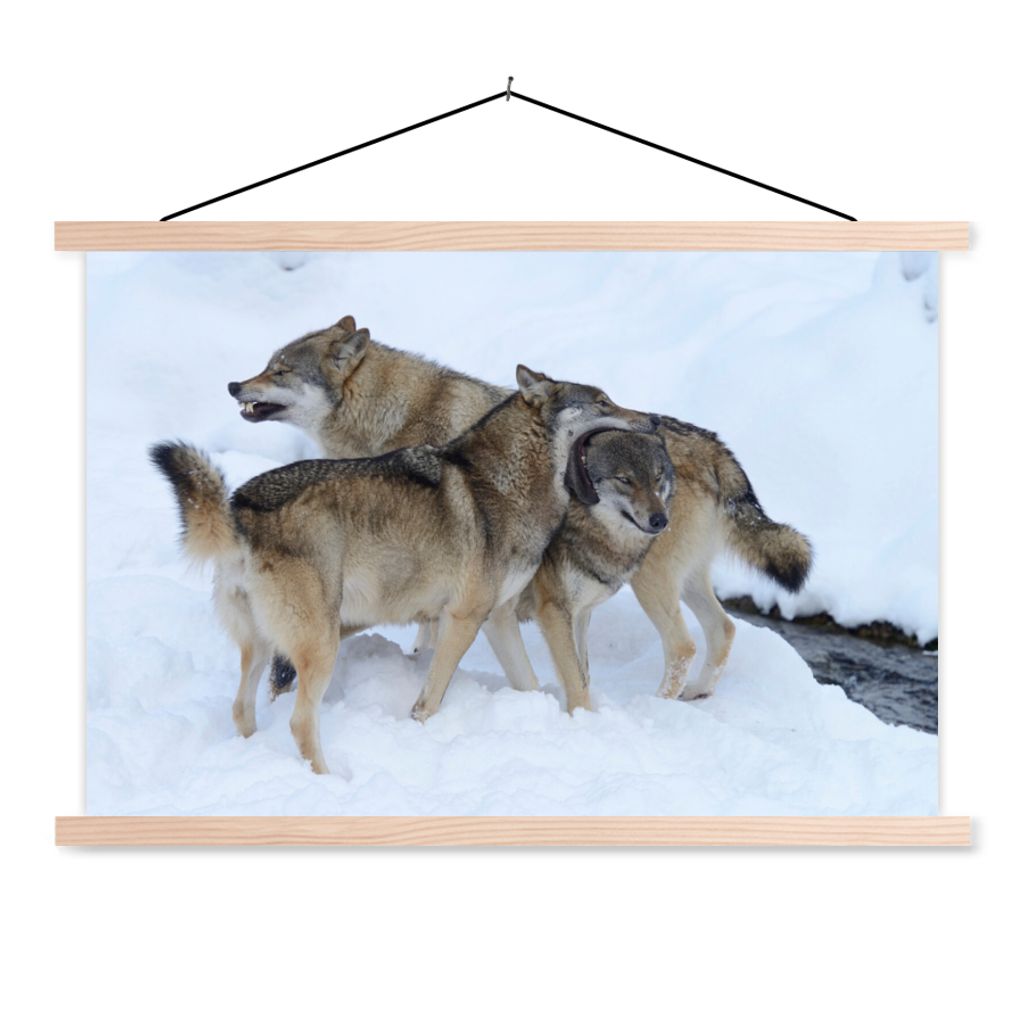 MuchoWow Textilposter Wolf - Europa - Schnee 120x80 cm mit holzfarbenen Rahmen - Aufhängeset