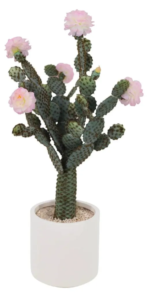 Cactus artificiel réaliste intérieur : fini l'arrosage et les épines