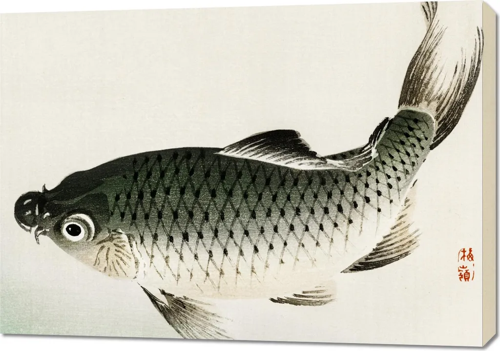 Arte Giapponese Salotto: Quadro Kōno Bairei Carpa Vintage 100x70cm - 1