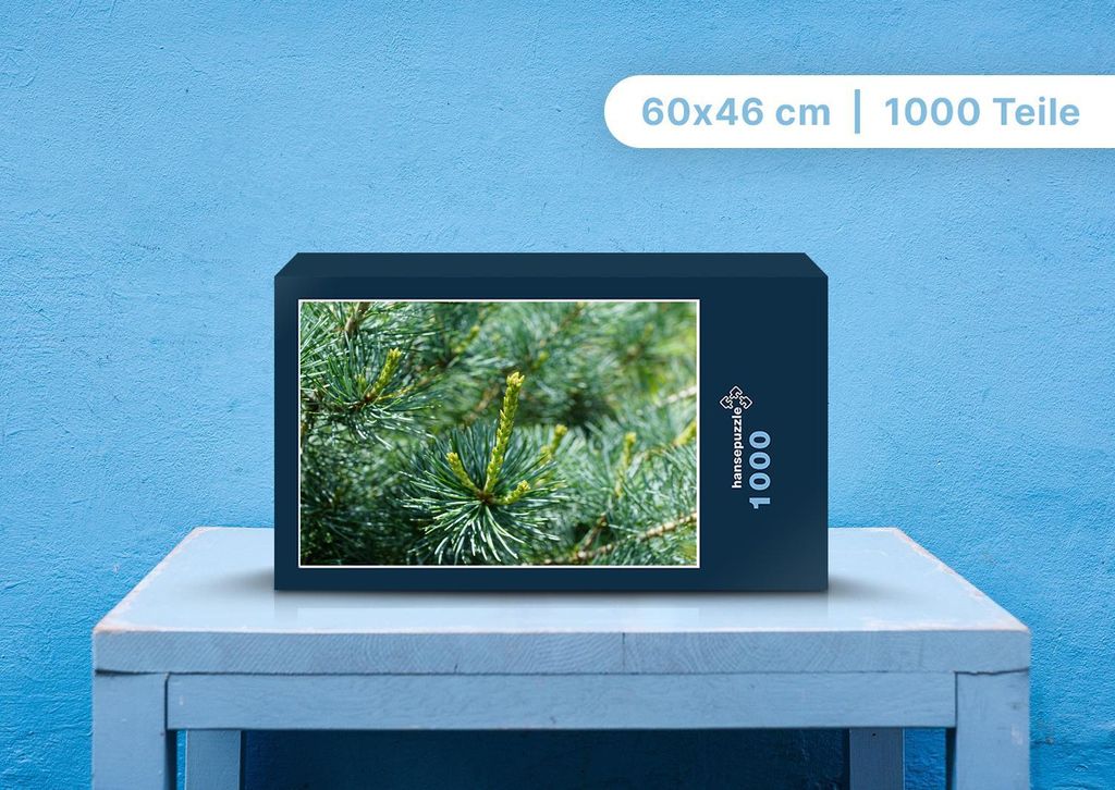 hansepuzzle 98894 - Fichte Puzzle, 1000 Teile, Natur, 60,0 x 46,0cm mit hochwertiger Aufbewahrung, Kartonbox und wiederverschließbarem Beutel