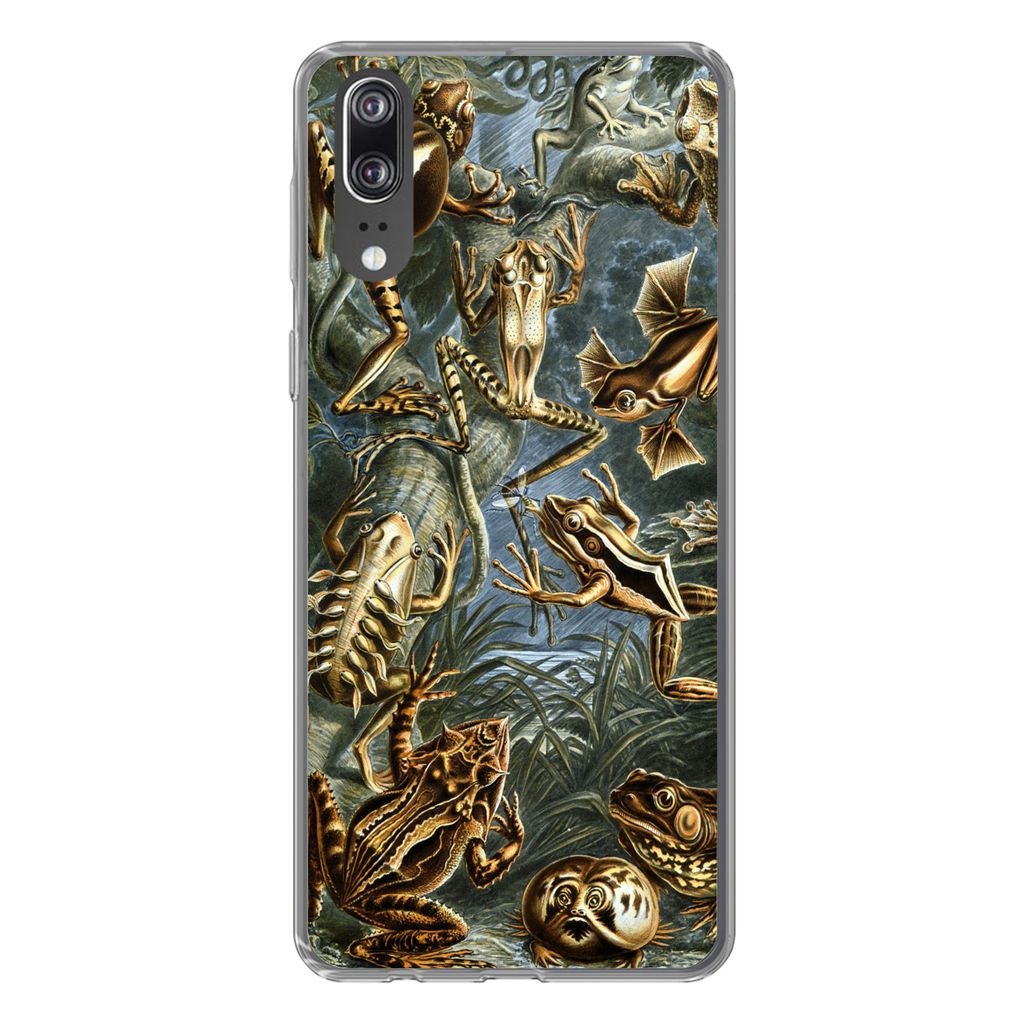 MuchoWow Handyhülle Schutzhülle Hülle für Huawei P20 Batrachia - Haeckel - Alte Meister Silikon Softcase Handy Hülle - Hardcover