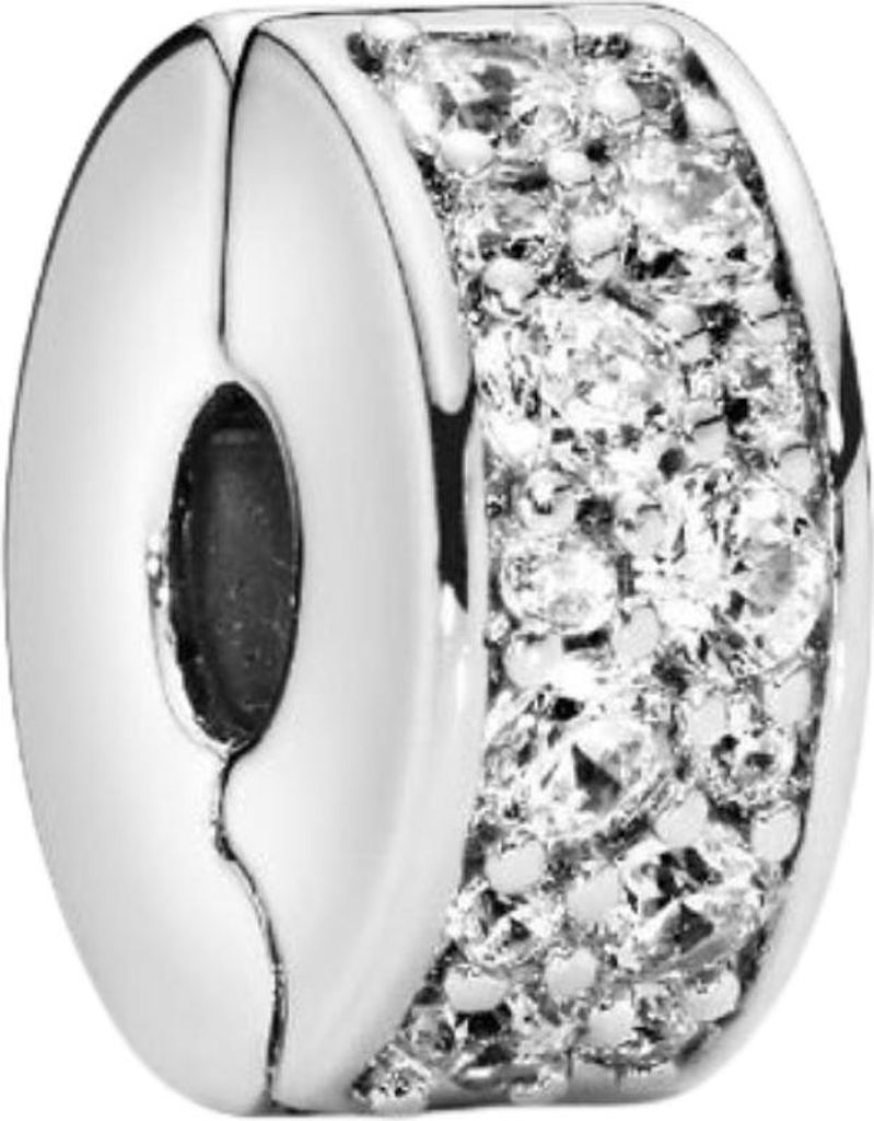 A close-up studio shot of a Pandora charm.