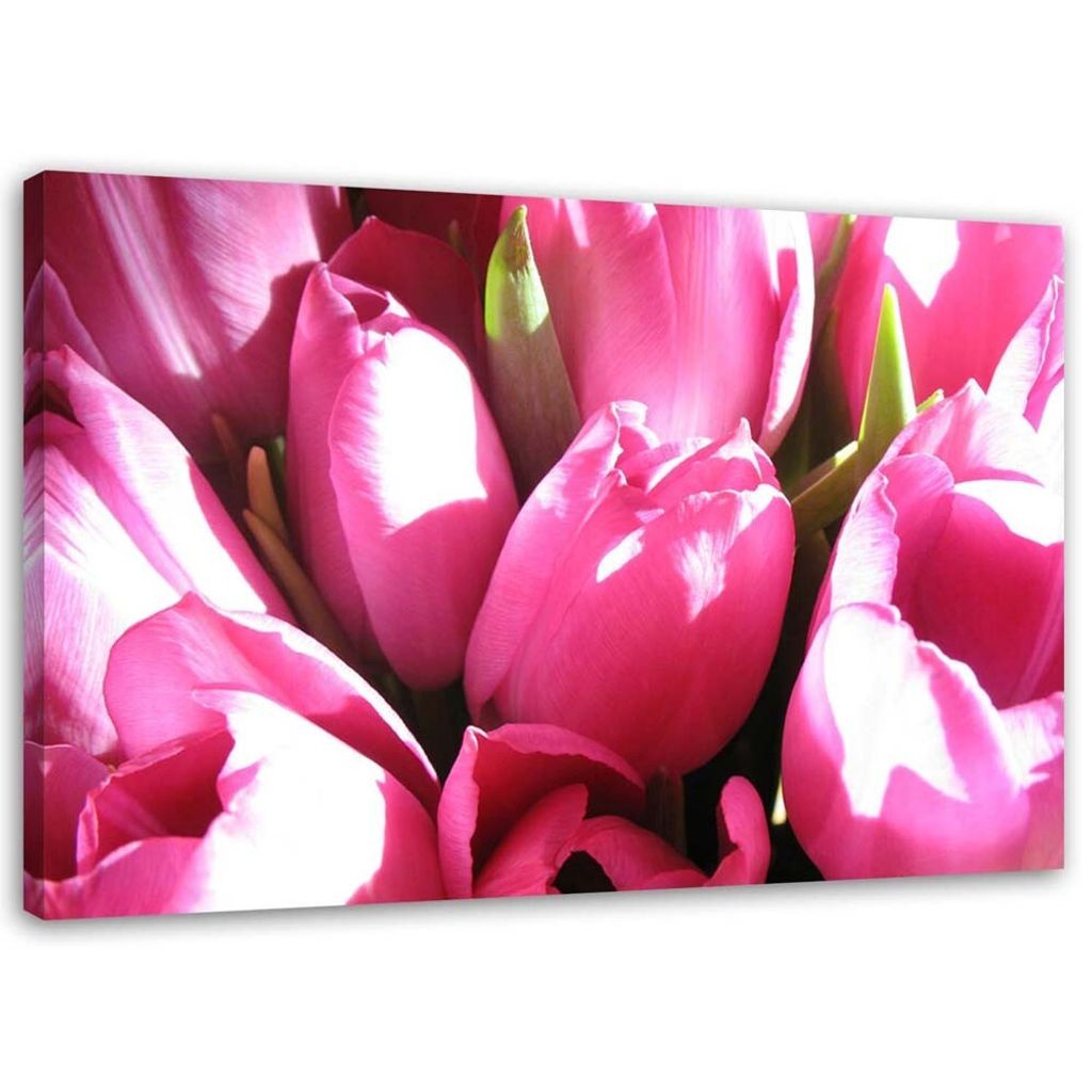 Leinwandbild rosa tulpenstrauß 100x70 cm Feeby rosa wandbild bereit zum aufhängen