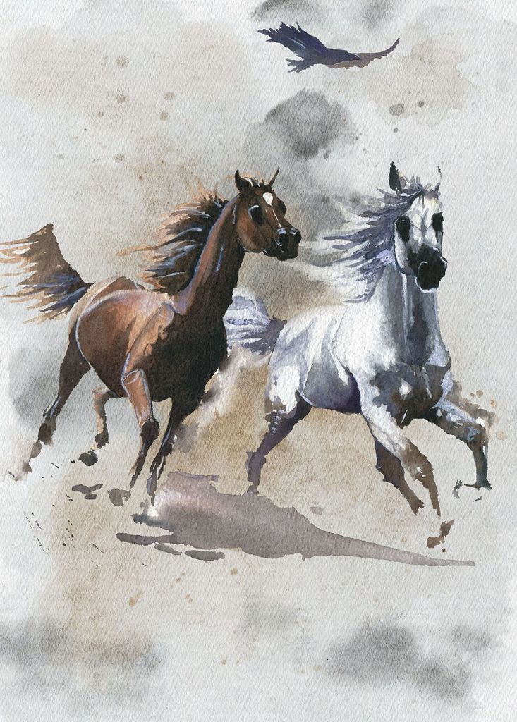 Komar Fototapete Wild Ride Grau und Braun - 610839 - 200 x 280 cm