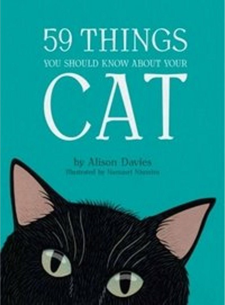 59 Things You Should Know About Your Cat