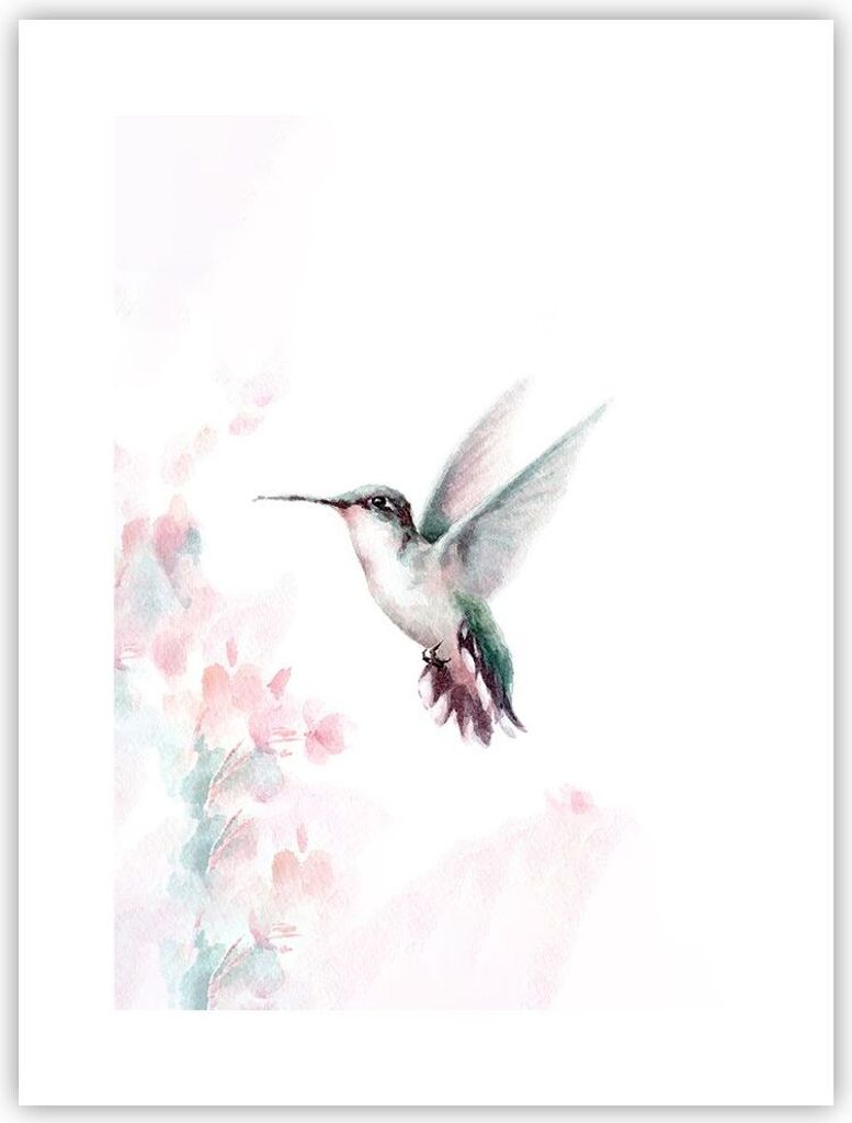 Poster - Poster ohne Rahmen - Kolibri Aquarell Licht - 30x40 cm - Wand Bild - Wanddeko - Wandbilder - Kunstposter - Wandposter - Bilder - Kunstdruc...