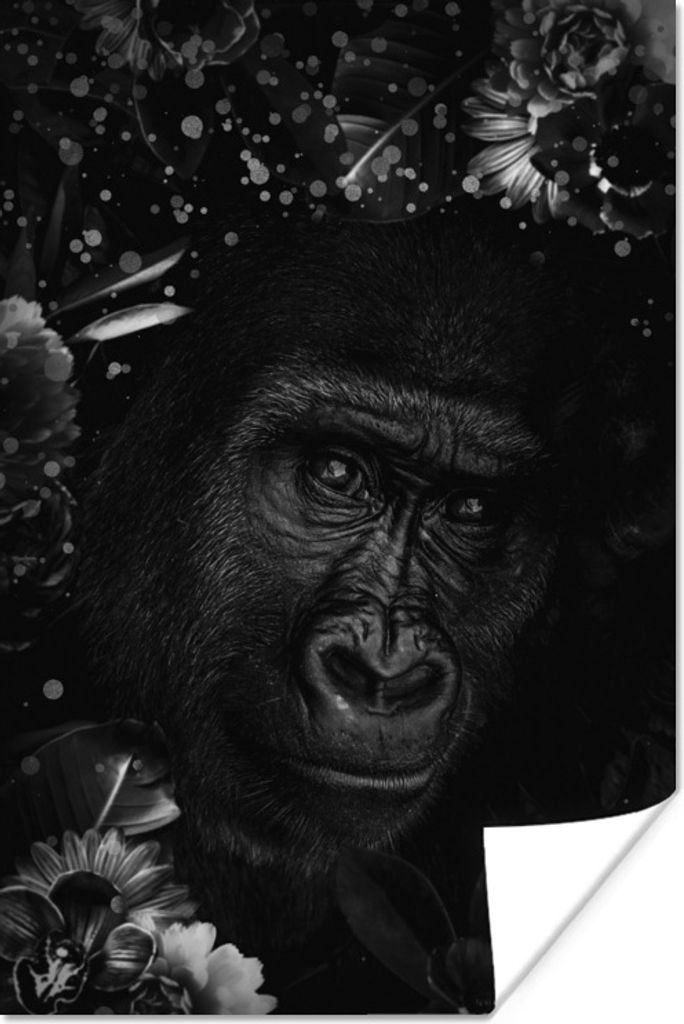 MuchoWow Poster Botanischer Affe mit hellen Kugeln auf dunklem Hintergrund - schwarz und weiß 60x90 cm - Wanddekoration