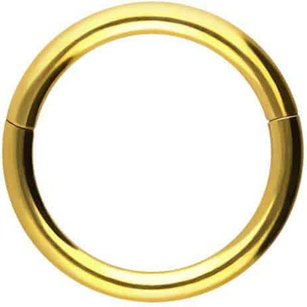 Ohrpiercing, Nasenpiercing, Septum Piercing Chirurgenstahl Segmentring Clicker Gold Innendurchmesser: 7mm + Stabstärke: 1,2mm