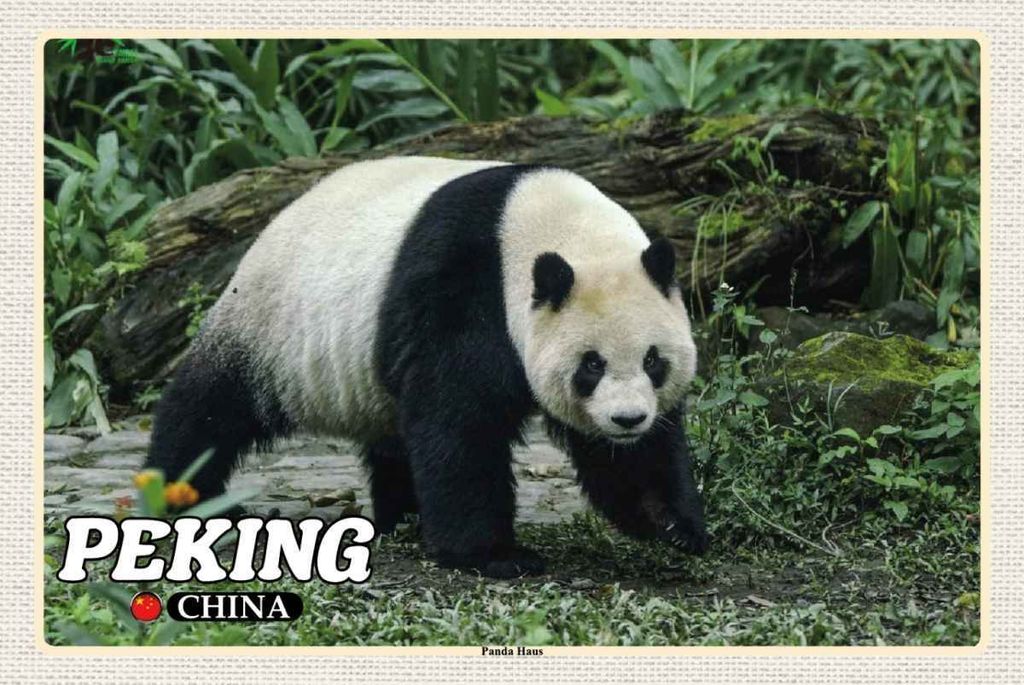 vianmo Holzschild 20x30 cm Peking China Panda Haus Bildmotiv Reisemotiv Straße Stadt