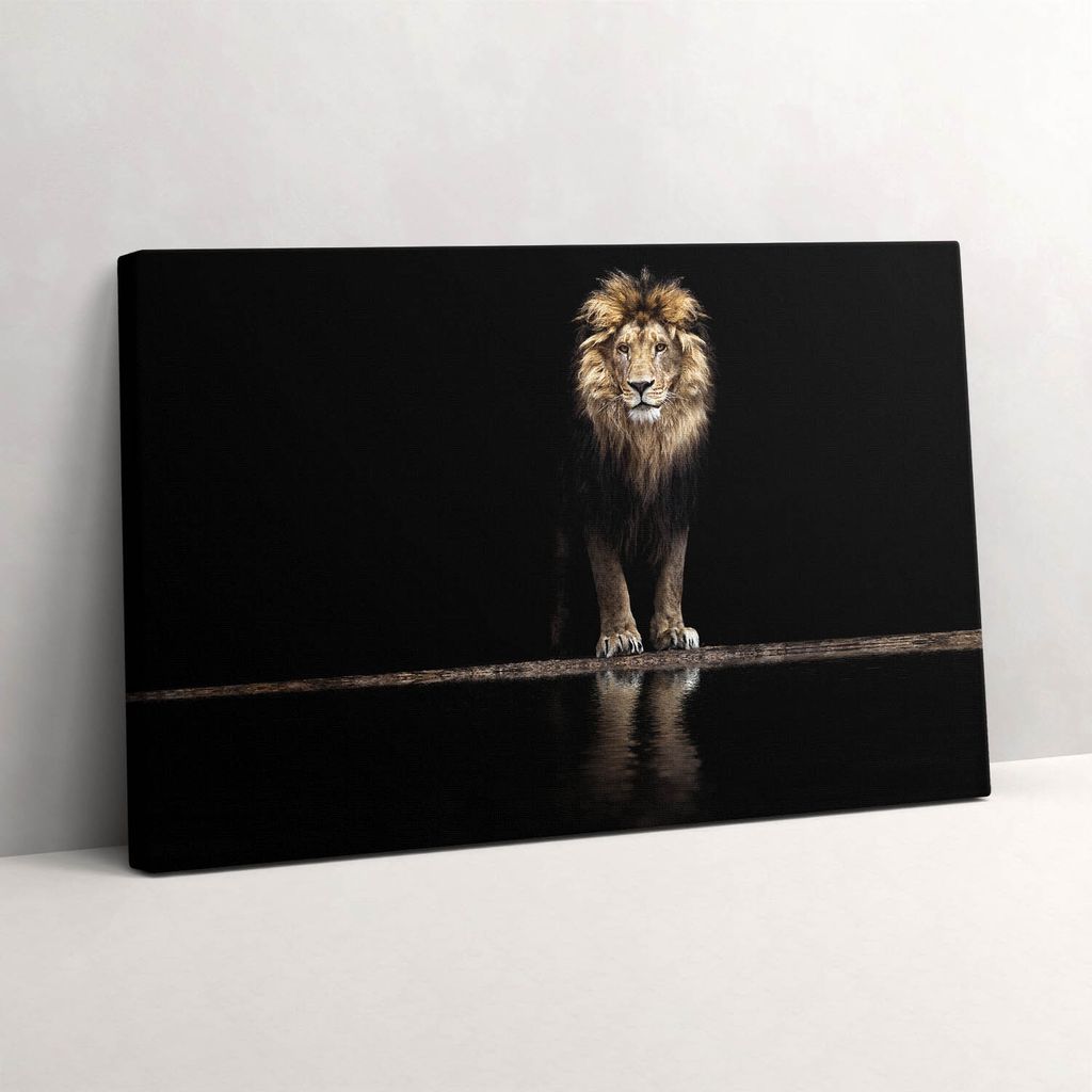 Einsames wildes Tier Löwe – Leinwandbild Wandbild – 30x20 cm – Leinwandbilder – Wandbilder – Schlafzimmer – Flur