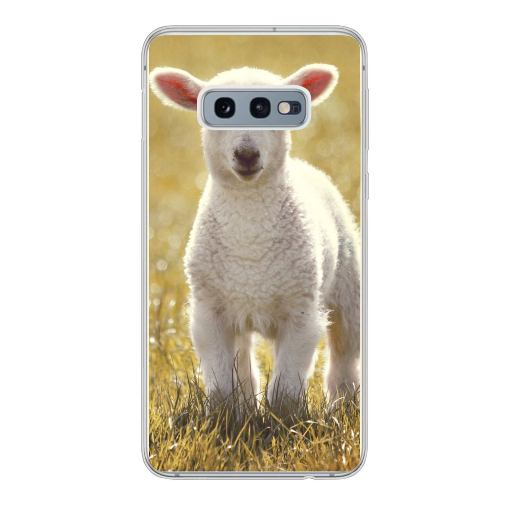 MuchoWow Handyhülle Schutzhülle Hülle für Samsung Galaxy S10e Lamm - Gras - Sonne Silikon Softcase Handy Hülle - Handy
