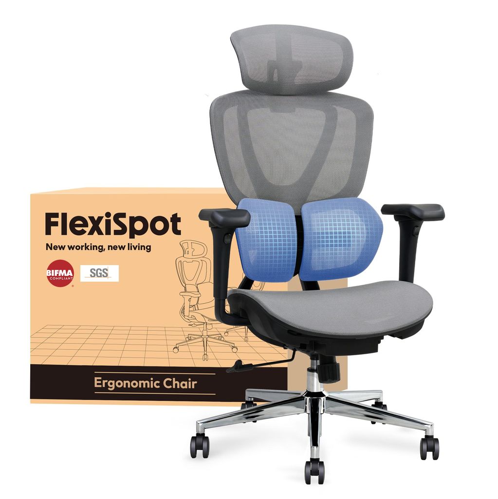 FLEXISPOT Sentinel Ergonomischer Bürostuhl mit Dual-Wing Lendenstütze, 3D-Kopfstütze, 3D-Armlehnen, verstellbarer Sitztiefe & Rückenlehne (Grau)